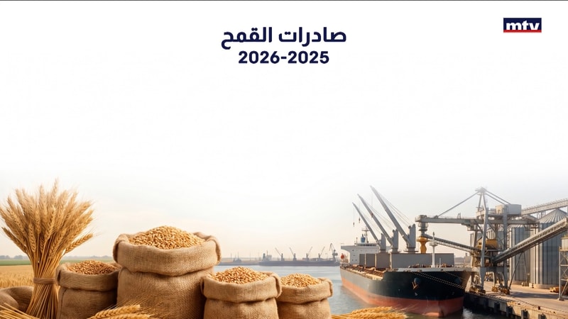 النشرة الكاملة