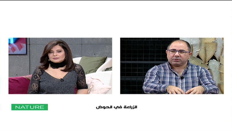 الزراعة في الحوض