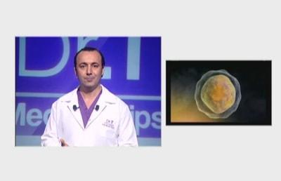 Stem Cells