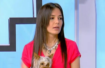 Yorkshire Dog Breed