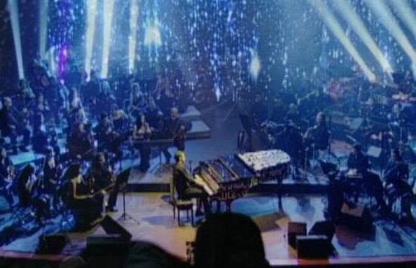 Michel Fadel - Musician
