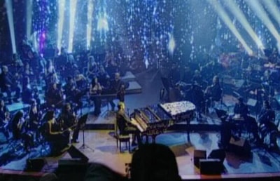 Michel Fadel - Musician