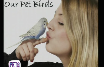 Chadi Kachi-  Our Pet Bird General Care