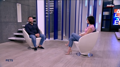 Imad Zgheib - The play kwiko