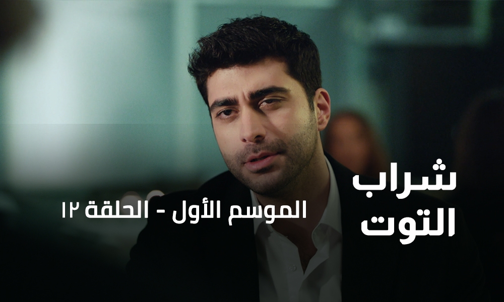 الحلقة 12
