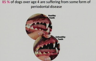 Teeth Brushing - 05 Jul 2014