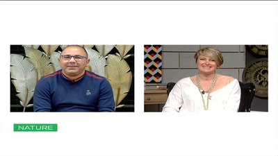 Viewers Questions