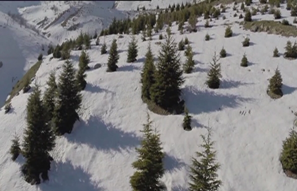 Rim Water 02 Feb 2015