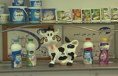 Dairiday - 15 Feb 2015