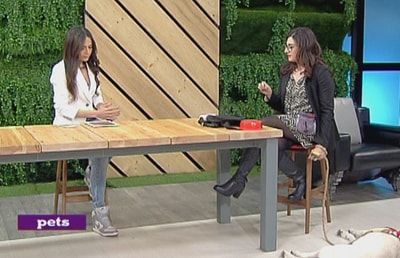 Hoda Kerbage 21 Feb 2015
