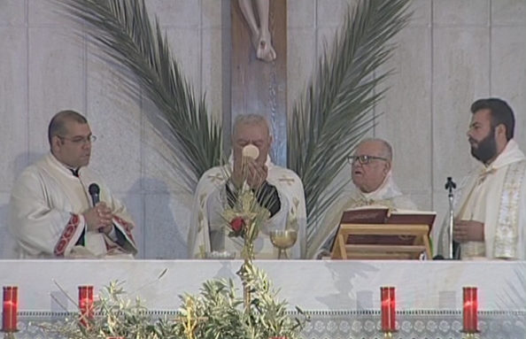 Palm Sunday Mass - 29 Mar 2015