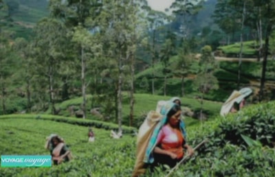 Srilanka