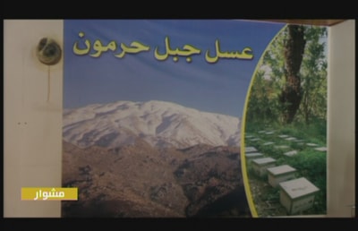 مشوار إلى راشيا الوادي