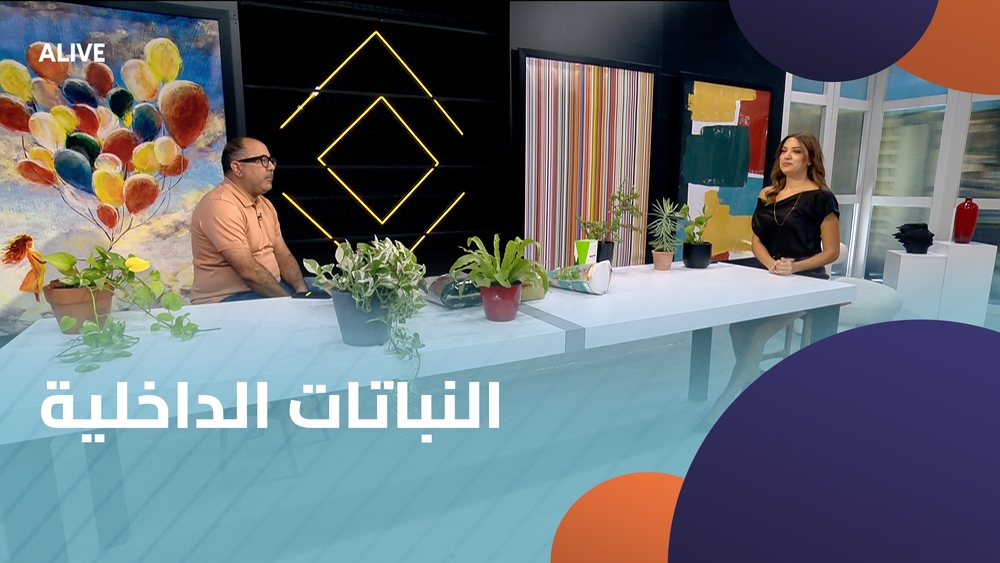 النباتات الداخلية