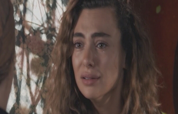 17 الحلقة