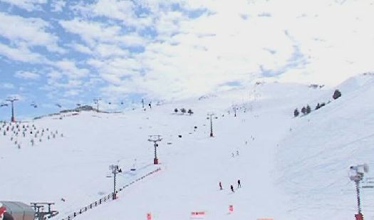 زعرور - 14 Feb 2016