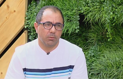 النباتات المزهرة