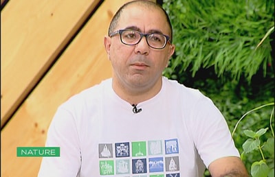 Les citronelles 