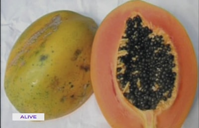 Papaya