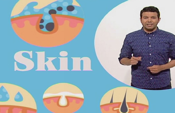 14 Dec 2016 - Skin