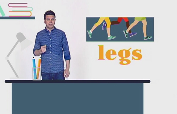 Legs