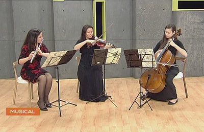 Ecole Des Arts Ghassan Yammine - Trio Music - 19 Mar 2017