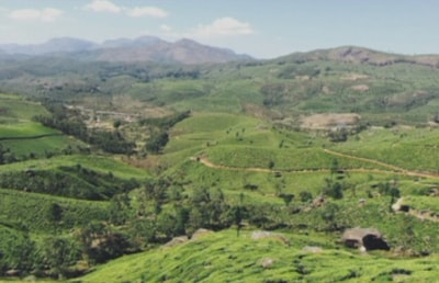 04 Aug 2017  Destination  Kerala   India