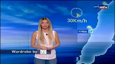 جلسة مجلس الوزراء