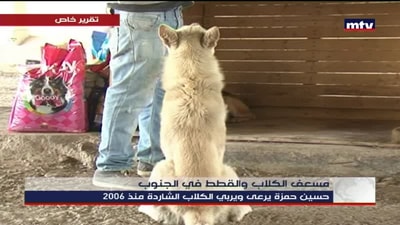 مسعف الكلاب والقطط في الجنوب