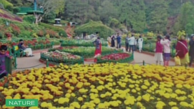 Botanical Gardens