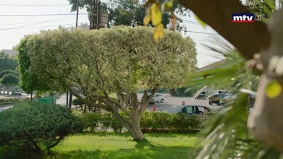 Episode 61