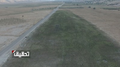 الحشيشة