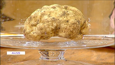 White Truffle