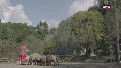Episode 26