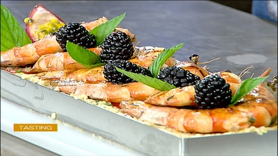 Exotic Summer Shrimps