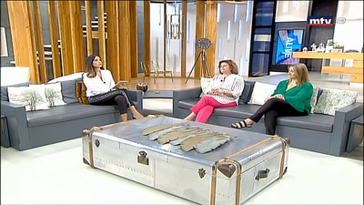 Fadia Safi - Micheline Geagea - Dinner in support of Sesobel 