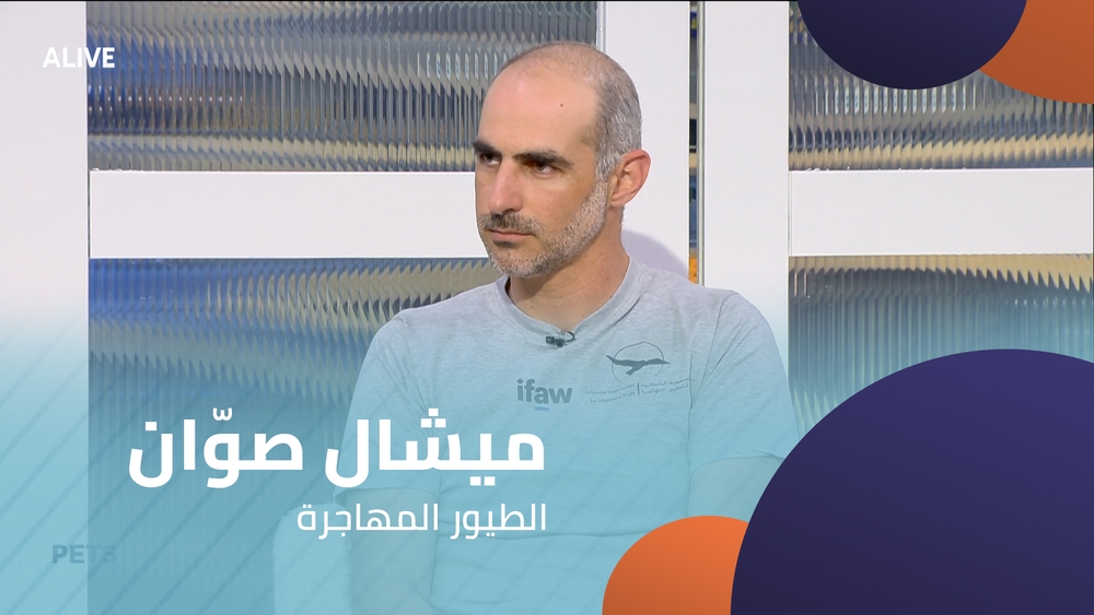 ميشال صوّان - الطيور المهاجرة