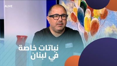 Special plants in Lebanon