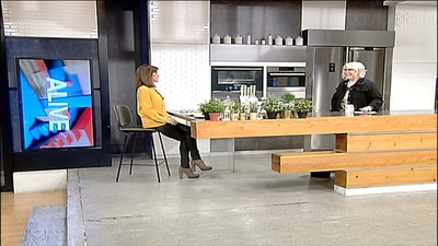 Desserts in zucchini and carrots