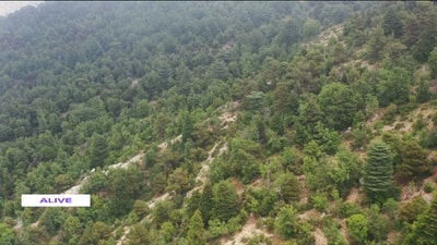 13 Jun 2020 - A Trip To Ehden - Part 2