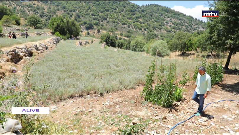 22 حزيران 2020 -  مشوار الى كفرحونة 
