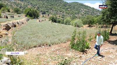 22 Jun 2020 - A Trip To Kfarhouna 