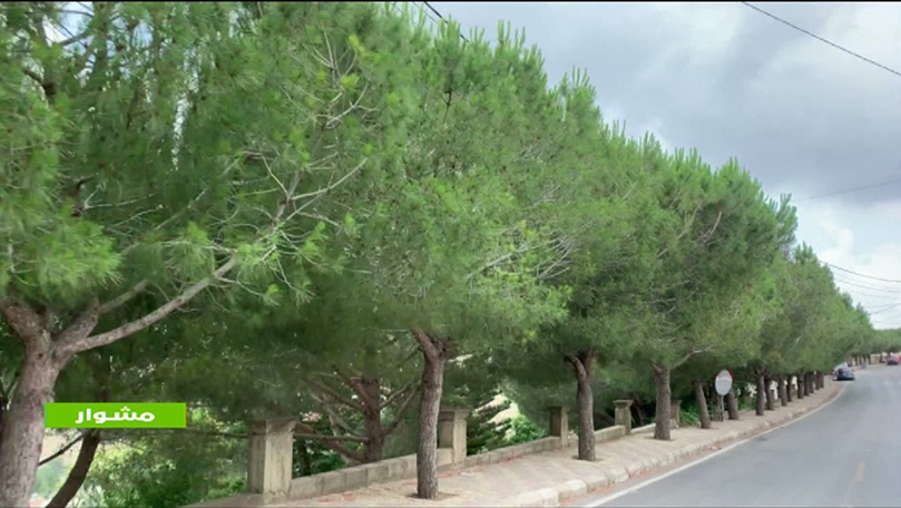 27 حزيران 2020 - مشوار إلى الجنوب - الجزء الأول 