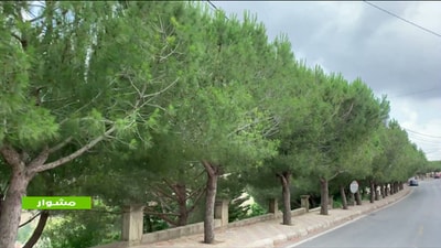 27 Jun 2020 - A Trip To Jnoub - Part 1