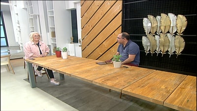 Stevia