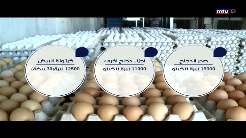 صدور الدجاج الى اين