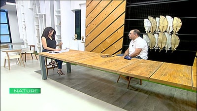 Viewers Questions