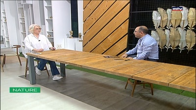 Viewers Questions