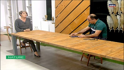 Seedlings transfer