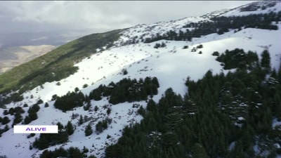 06 Dec 2020 - A Trip To Maasser El Chouf